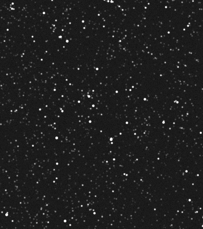 A crowded synthetic star field generated by Claude Fable 5.1.